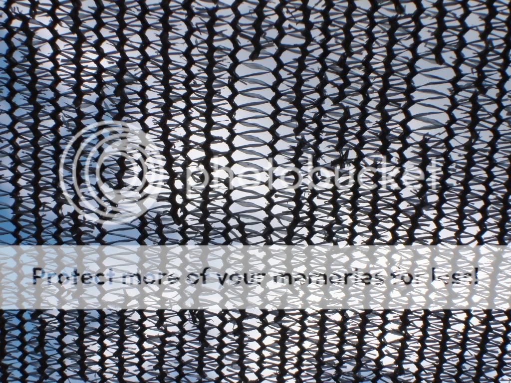 How long should shade cloth last? TerraForums Venus Flytrap